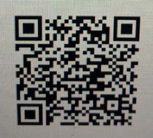QR code nas cores preto e branco.